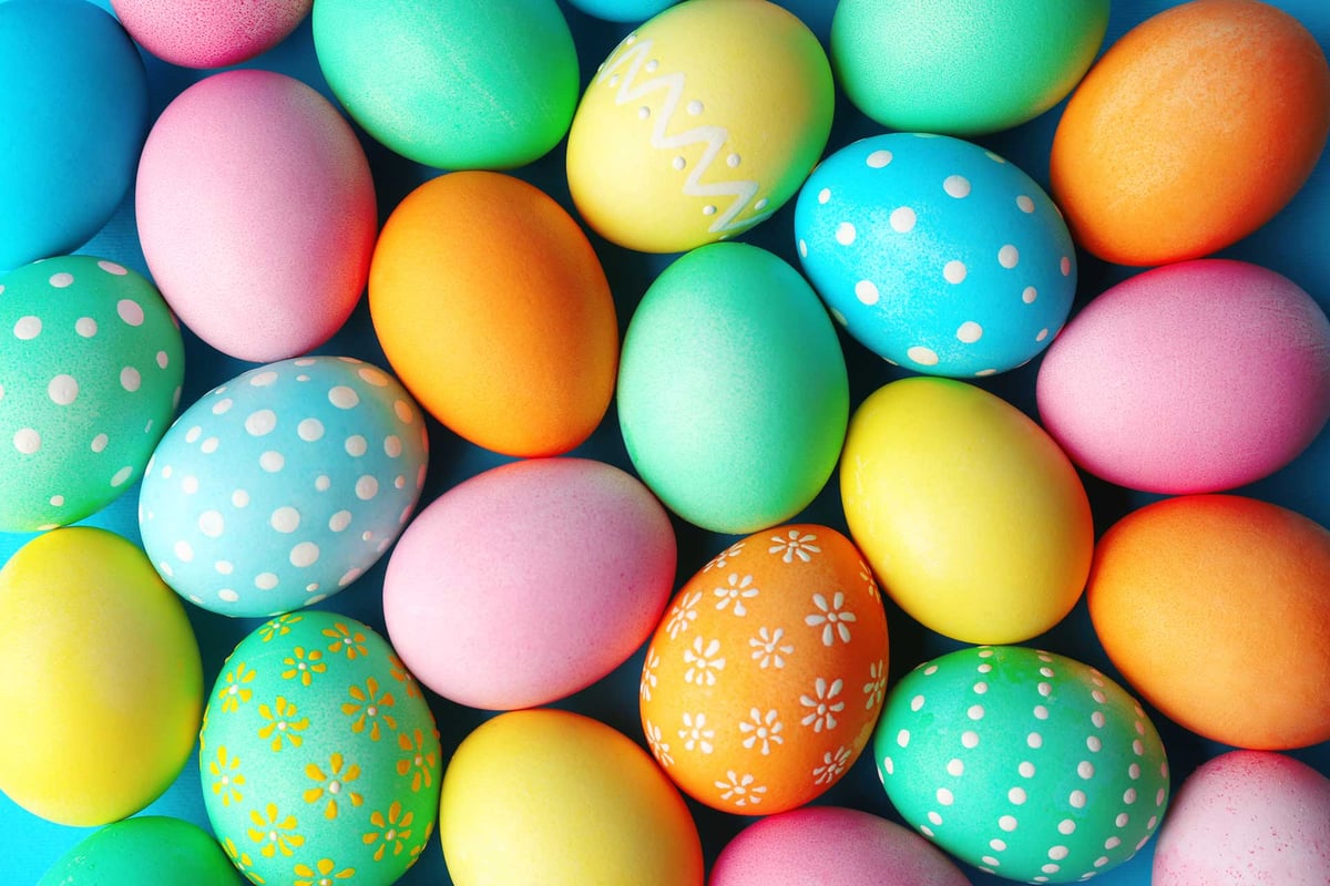 The best Easter Eggs on the Internet - National